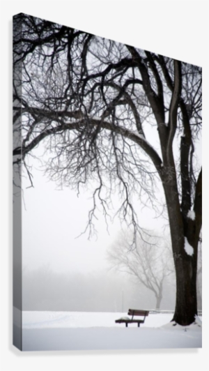 Assiniboine Park, Winnipeg, Manitoba, Canada #4127572