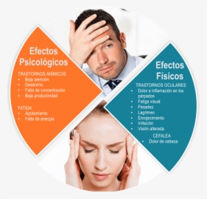 En Condiciones Normales, El Reloj Biológico Está Sincronizado - Efectos De Una Mala Iluminacion #4127947