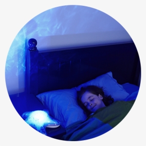 Cloud B Tranquil Starfish Combina El Sentido De La - Cloud B Tranquil Starfish #4128571