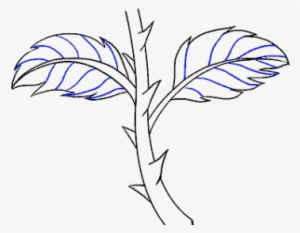 Drawn Rose Stem - Drawing #4129276