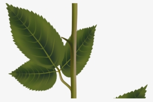 Pink Rose With Stem Png Transparent Clip Art Image - Clip Art #4129483