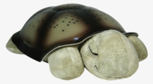 Cloud B, Tortuga Dulces Sueños - Cloud B Twilight Constellation Night Light - Turtle #4130187