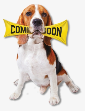 Puppy Chew Toys For Boredom Rawhide Bone Medium Breeds #4130370