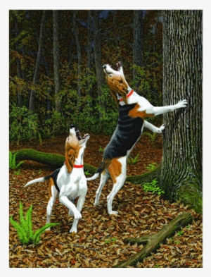 Walker Treeing #4130462