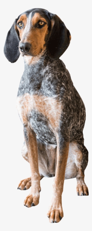 Gifts Of Stocks And Bonds - Planned Giving #4130629