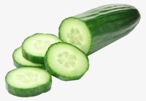 Chinese Cucumber #4131554