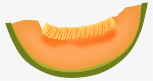 Cantaloupe - Cantaloupe With Transparent Background #4132104