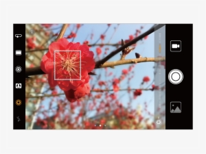 Wide Aperture #4132146