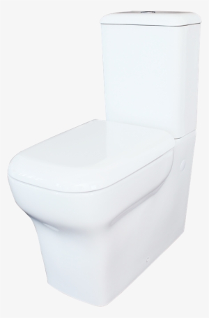 Rumba Toilet Suite - Mondella Rumba Toilet Review #4132221
