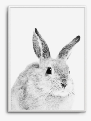 Baby Bunny - Cushion Co - Rabbit Brown Pillow 16" X 12" #4132254