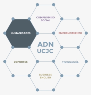 Comparte Aula Con Estudiantes De Otros Grados En Un - Madrid #4132352