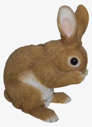 Rl Standing Rabbits D - Vivid Arts Real Life Standing Rabbit - Xrl-rb10-d #4132353