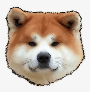 43 Why Are You An Akita - Cachorro De Akita Inu #4133099