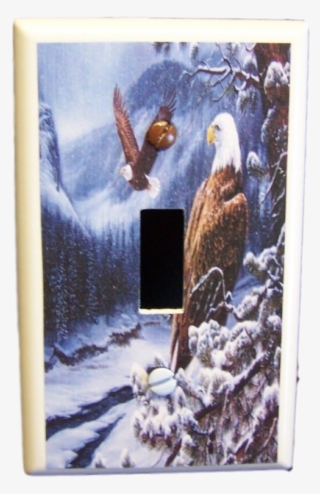 Got You Covered Eagle Snow Top Rocky Mountains Pine - Snow #4134139