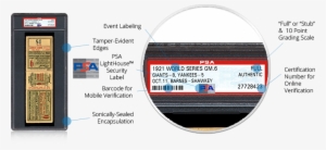 Elite Protection For Your Ticket Collection - Anatomy #4134236