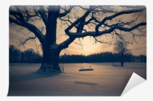 Winter Landscape With Abandoned Tree Swing Wall Mural - Salincak Manzara Resmi #4135716 Winter Landscape With Abandoned Tree Swing Wall Mural - Salincak Manzara Resmi #4135716