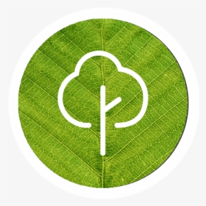 760 - Emblem #4136241