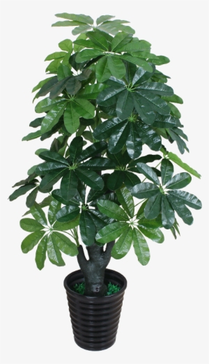 Cargo No - - Fcs012180 - Tree #4136266