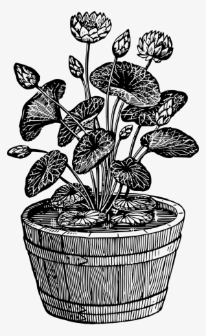 Big Image - Black And White Potted Plant #4136348 Big Image - Black And White Potted Plant #4136348