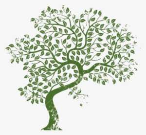 Luxury Tree With Transparent Background 1000 Images #4136457