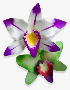 Wooden Orchid Flower - Orchids #4136701