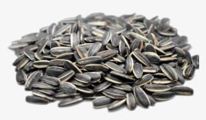 Sunflower Seeds Resolution - Sunflower Seeds Calories #4136982