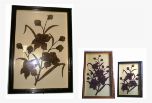 Syzygium Aromaticum #4137058