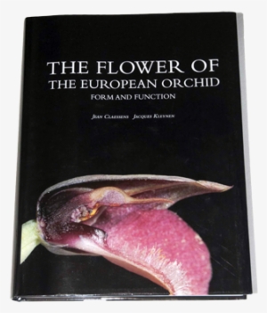 "the Flower Of The European Orchid - Flower Of The European Orchid: Form #4137106