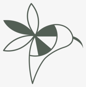 Colibri Web Deliverables-06 - Design #4137460