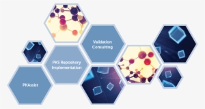 By Certara's Professional Team Of Pk/pd Software Experts, - Diagram #4137535