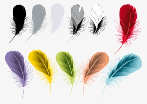 Las Plumas Son Estructuras Queratinosas De La Piel - Feather Vector #4137651
