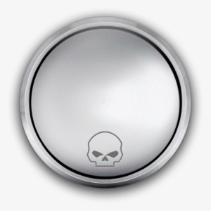 Have Questions - Harley Davidson Skull #4138063