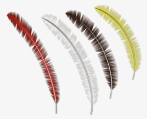 Colección De Plumas - Feather #4138114
