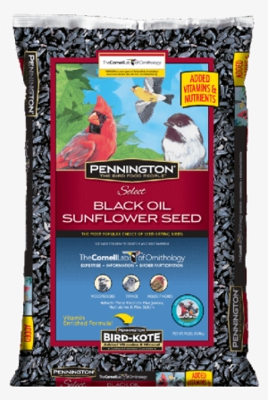 Pennington Select Black Oil Sunflower Seed Wild Bird #4138268
