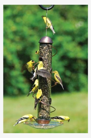 Image - 17 Inch Copper Spiral Sunflower Feeder #4138319