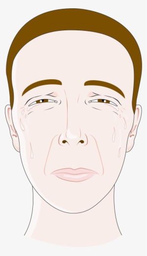 Download The Image Download The Entire Set - Illustration #4138470