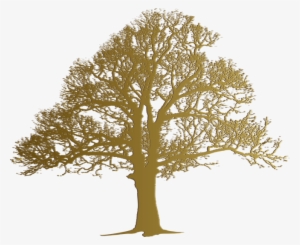 Argan Tree - Argan Tree Logo Png #4138572