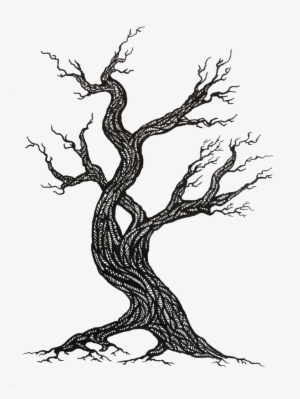 Tree - Phyllomedusa Bicolor #4138663