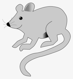 Cute Gray Mouse - Rat Animation #4138667