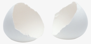Eggshell Transparent #4139577