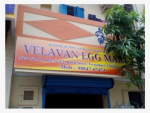 White Egg - Velavan Egg Mart #4139675