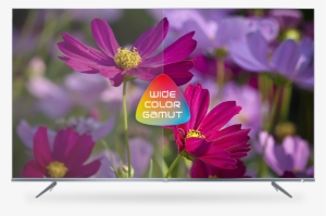 Picture Quality Wide Color Gamut - Tcl P66 Series Dp660 #4140297