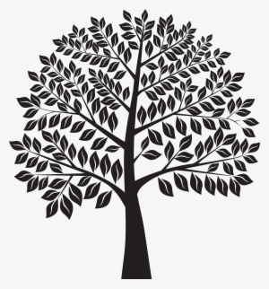 White Tree Silhouette Png #4140752 White Tree Silhouette Png #4140752