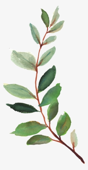 Watercolor Vector - Moderne Botanischer Garten-hochzeits-einladung Karte #4141488