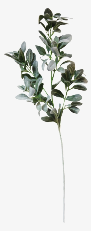 Snow Green Flower Branch Cartoon Transparent - Woodland Animals Wedding Invitations #4143010