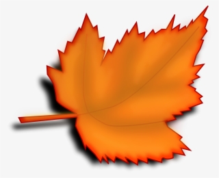 How To Set Use Leafs Cartoon Icon Png - Transparent Background Leaf Clip Art #4143075