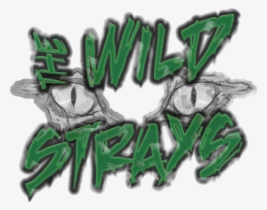 The Wild Strays Are A Four Piece Punk / Rock / Metal - Illustration #4144631