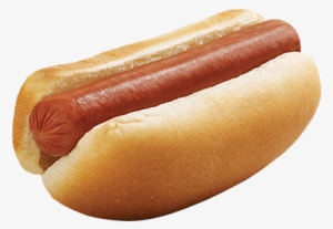 Blt Dog - Plain Hotdog #4145314