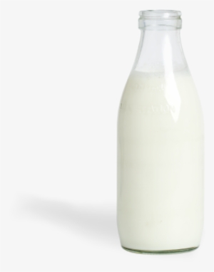 Milk Png Milk Bottle Png 322 - Bottle Of Milk Png #4147574