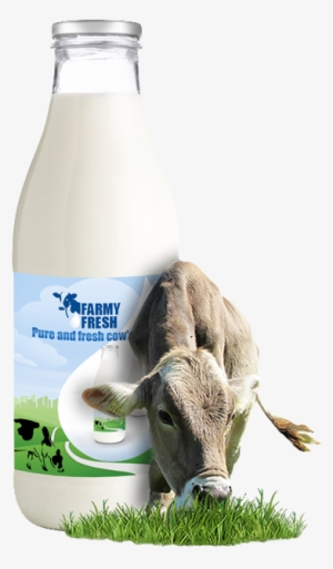 Studies Have Linked The Consumption Of Milk Contaminated - Fresh Cow Milk Png #4147707